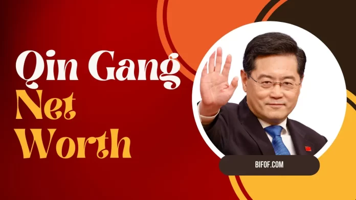 Qin Gang Net Worth